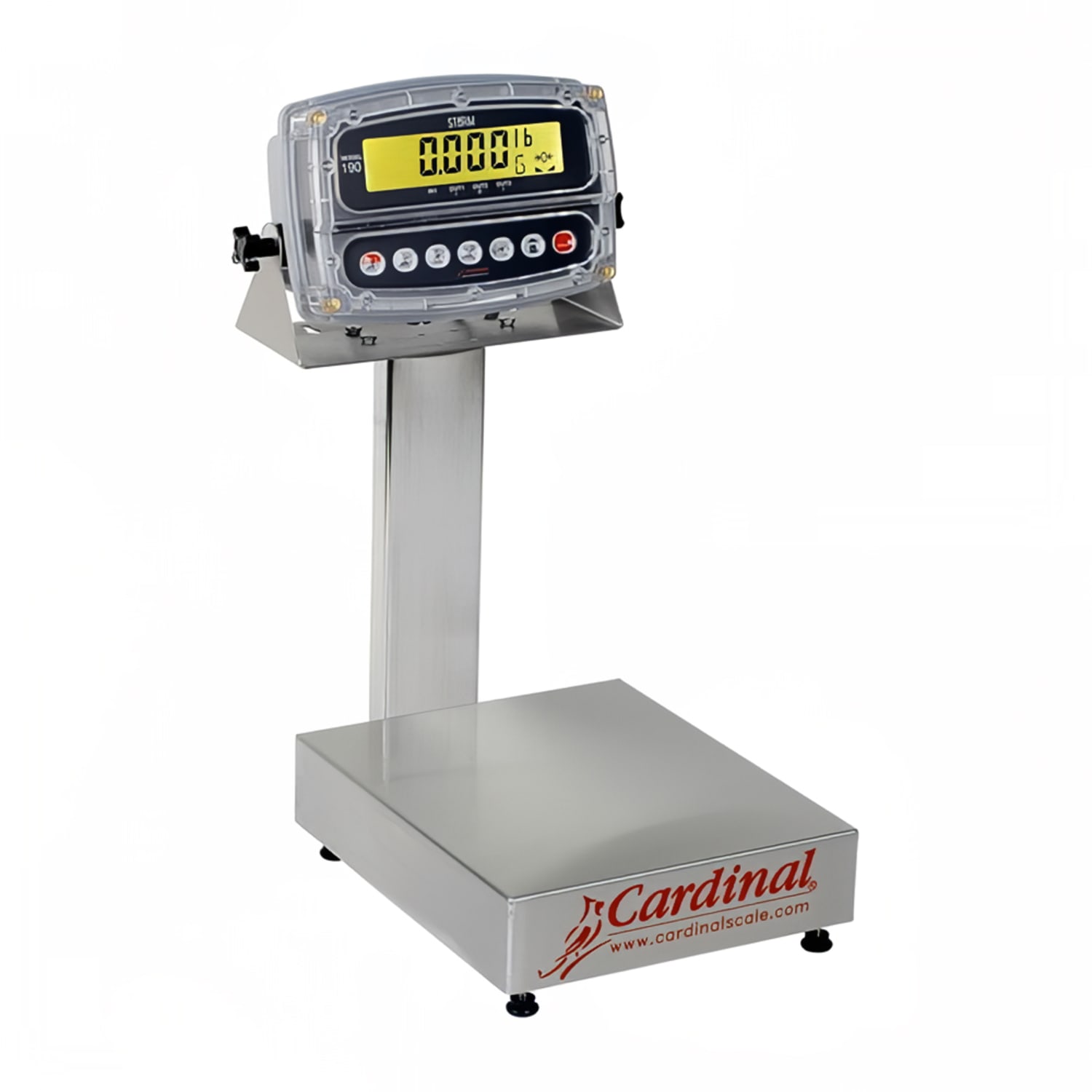 Detecto EB-15-190 Digital Bench Scale, LCD Display, lb/kg/g/oz , 15 x 1/200 lb, 10 x 12, Stainless Steel, 110/240 V