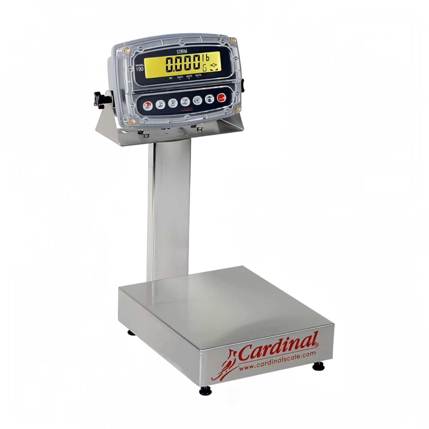 Detecto EB-300-190 Digital Bench Scale, LCD Display, lb/kg/g/oz, 300 x 1/10 lb, 24 x 20, Stainless Steel, 110/240 V