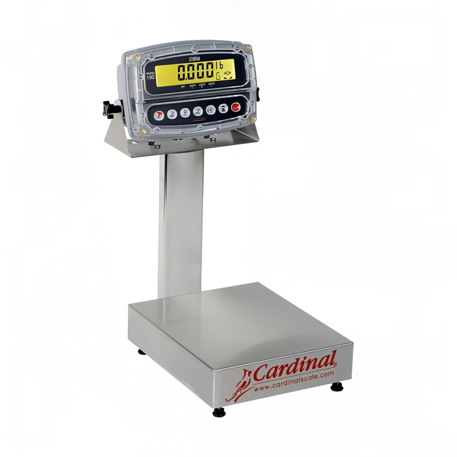 Detecto EB-30-190 Digital Bench Scale, LCD Display, lb/kg/g/oz, 30 x 1/100 lb, 10 x 12, Stainless Steel, 110/240 V