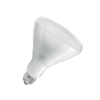 Update HTLP-BULB(W) 250 Watt Shatter Resistant Heat Lamp Light Bulb, White