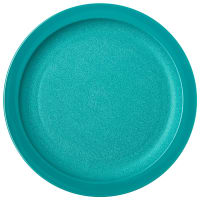 Carlisle 9" Plastic Dinner Plate, Teal (PCD20915)