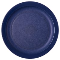 Carlisle 9" Plastic Dinner Plate, Dark Blue (PCD20950)