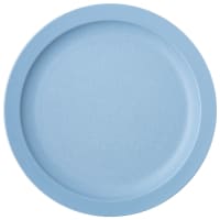 Carlisle 9" Plastic Dinner Plate, Slate Blue (PCD20959)