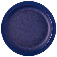 Carlisle 10" Plastic Dinner Plate, Dark Blue (PCD21050)