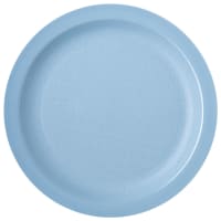 Carlisle 10" Plastic Dinner Plate, Slate Blue (PCD21059)