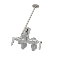 T&S B-0667-RGH Service Fitting Sink, Adjustable Centers