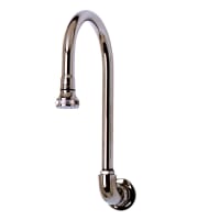 T&S B-0536 Rigid Gooseneck Spout, Wall Mount, Rose Spray, 5 1/2" Spread