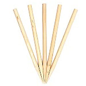 Bamboo & Wooden Skewers Icon