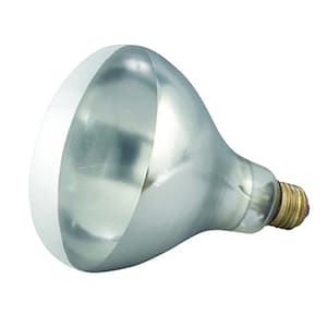 Heat Lamp Bulb & Accessories Icon