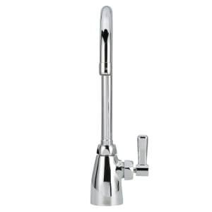 Zurn Industries Z843M4-XL Service Sink Faucet w/ 8