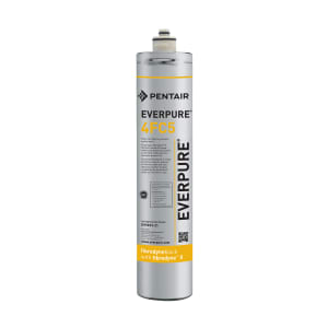 Everpure EV979750 KleenSteam II® Single 4CB5 Combination Water