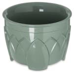 Dinex DX5200-84