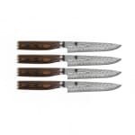 Shun TDMS0400