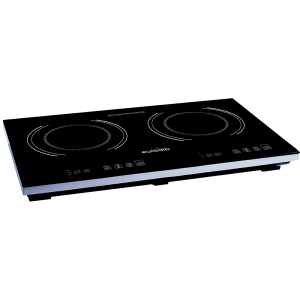 winco induction burner