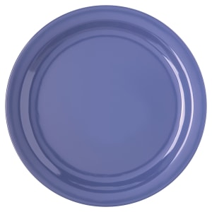 Carlisle 4350014 10 1/4&quot; Round Melamine Dinner Plate, Blue