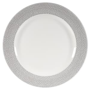 893-SHISIF581 10 7/8" Round Dinner Plate - China, Shale Grey