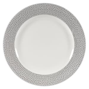 893-SHISIP121 12" Round Dinner Plate - China, Shale Grey