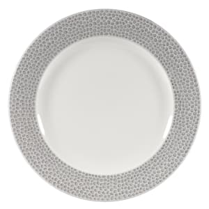 893-SHISIP651 6 5/8" Round Dinner Plate - China, Shale Grey