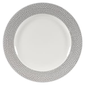 893-SHISIP81 8 1/4" Round Dinner Plate - China, Shale Grey