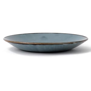 245-HBL25 10" Round Harvest Plate - Ceramic, Blue