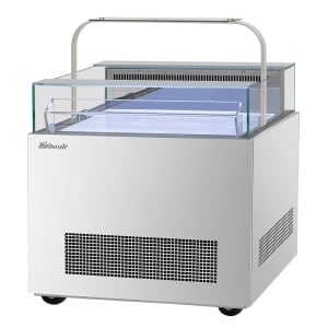 083-TOS30NNDS 30 1/4" Horizontal Open Air Cooler w/ (1) Level, 115v