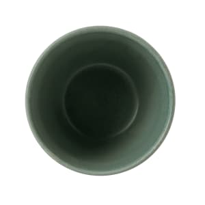 893-RBGNBSCM1 10 oz Chip Mug - Ceramic, Andorra Green