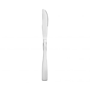 438-SLAM109 8 7/10" Dinner Knife with 18/0 Stainless Grade, Salem Pattern