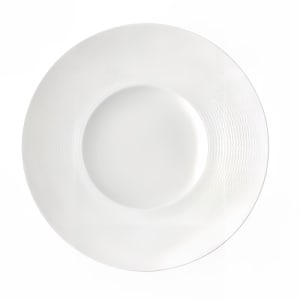 324-L5600000151D 10 1/2" Round Current Plate - Porcelain, Warm White