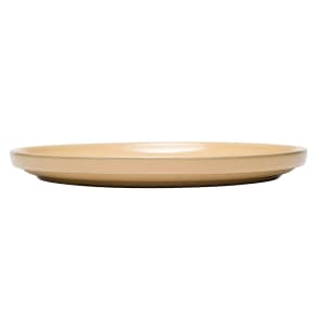 634-109756 9" Round Canyonlands Plate - Terracotta, Tan