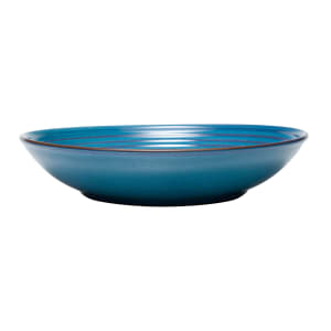 634-109764 73 oz Round Canyonlands Deep Coupe Bowl - Terracotta, Blue