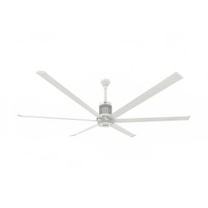 541-MKI61081806A729I 96" i6 Indoor Ceiling Fan w/ 12" Downrod, White