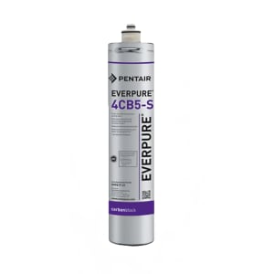 149-EV961726 4CB5-S Replacement Water Filter Cartridge - 6,000 gal Capacity