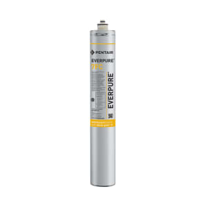 149-EV969261 Replacement Water Filter Cartridge - 25,000 gal Capacity