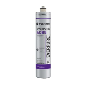 149-EV961716 Replacement Water Filter Cartridge - 6,000 gal Capacity
