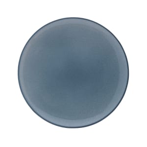 106-5302659 10 9/10" Round Canvas Coupe Plate - Porcelain, Fog