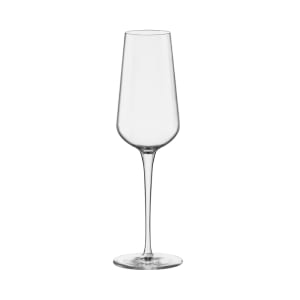 706-49105Q770 9 3/8 oz Inalto Uno Champagne Flute Glass