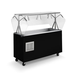 175-R3871446 46" Affordable Portable™ Cold Food Bar - (3) Pan Capacity, Floor Model, Black
