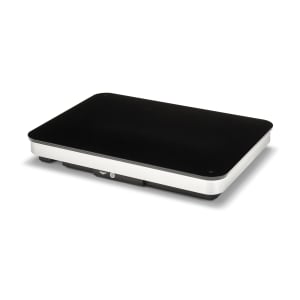 175-5950880 Countertop Commercial Induction Cooktop w/ (1) Burner, 120v