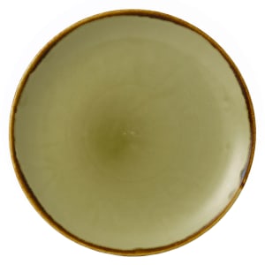 245-HG217 8 2/3" Round Harvest Plate - Ceramic, Green