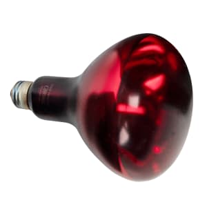 042-REDCTD120 250 Watt Heat Lamp Bulb - Red, Coated, 120v
