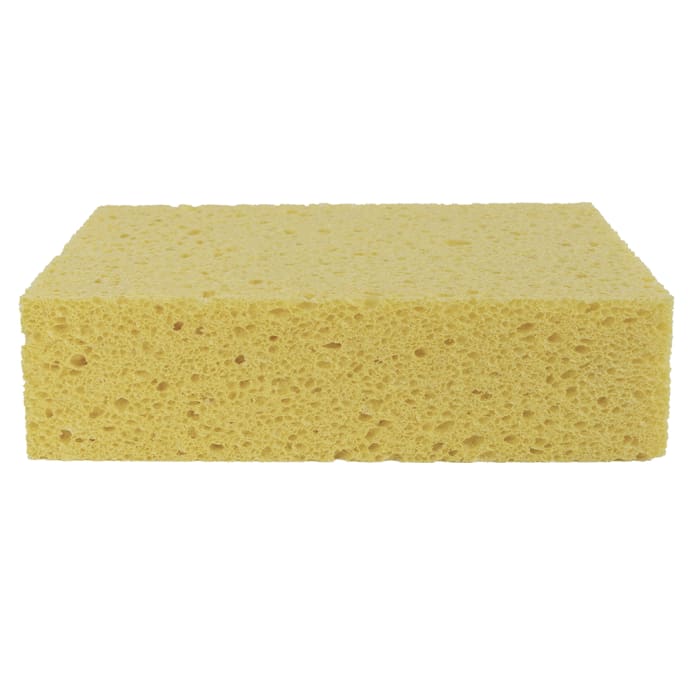 5-6 inch Yellow Sea Sponge - Apalachicola Sponge Company