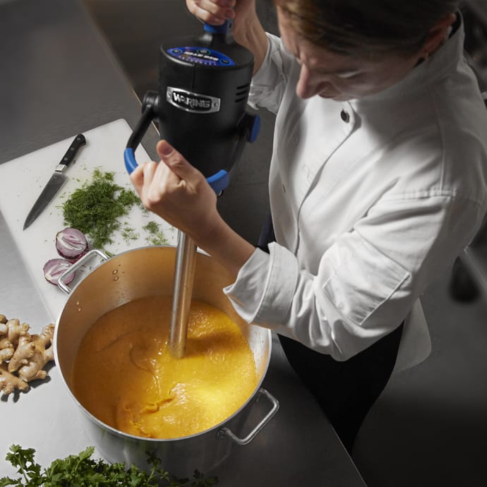 Waring WSB550X 15 gal Big Stik® EvolutionX® Commercial Immersion