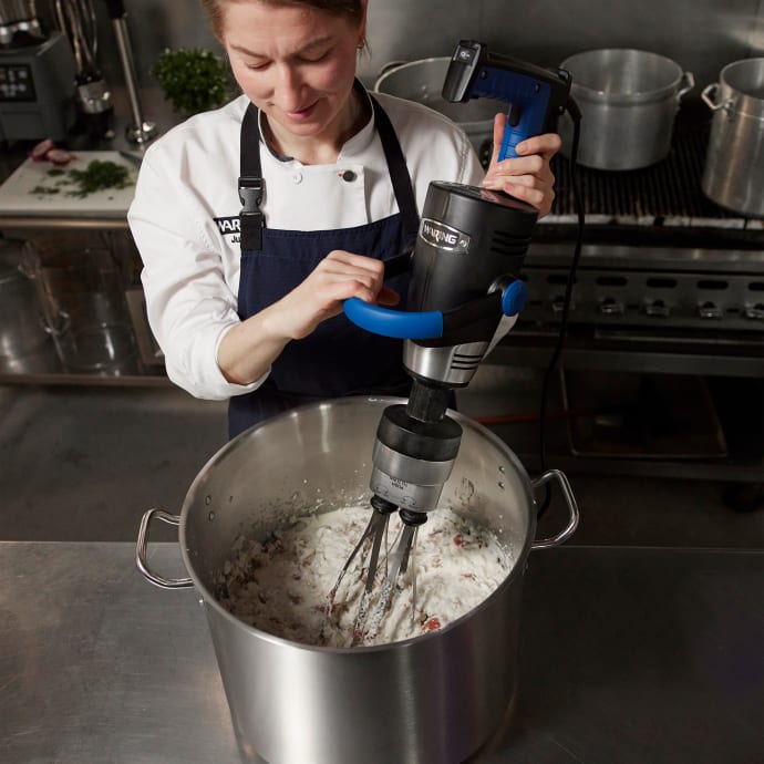 Waring WSBPPWX Big Stik® EvolutionX® 10 gal Commercial Immersion