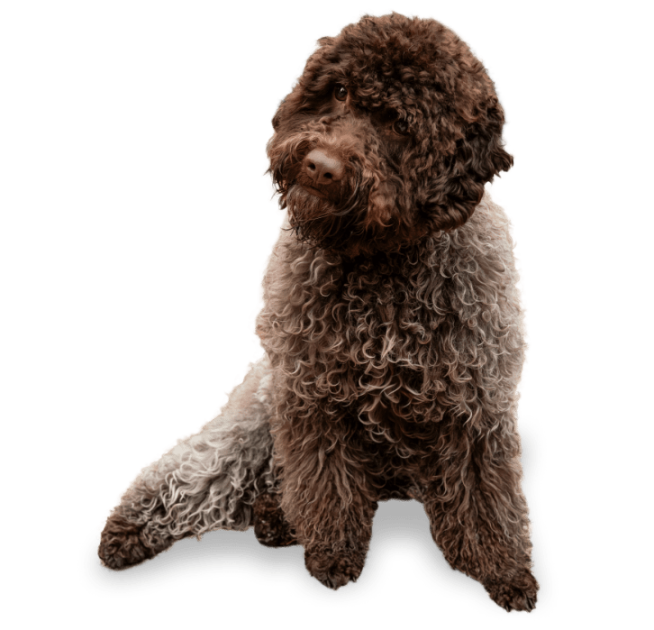 Commercial II Non-Stick Jumbo Muffin Pan - Thumbnail 2