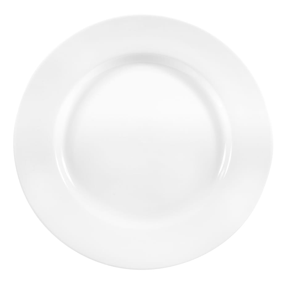Cheap dinner plates in bulk outlet