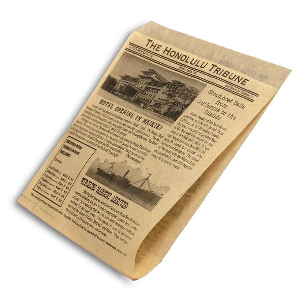 Bag Tek Newsprint Paper Bag - 4 lb - 5 x 3 1/4 x 9 1/2 