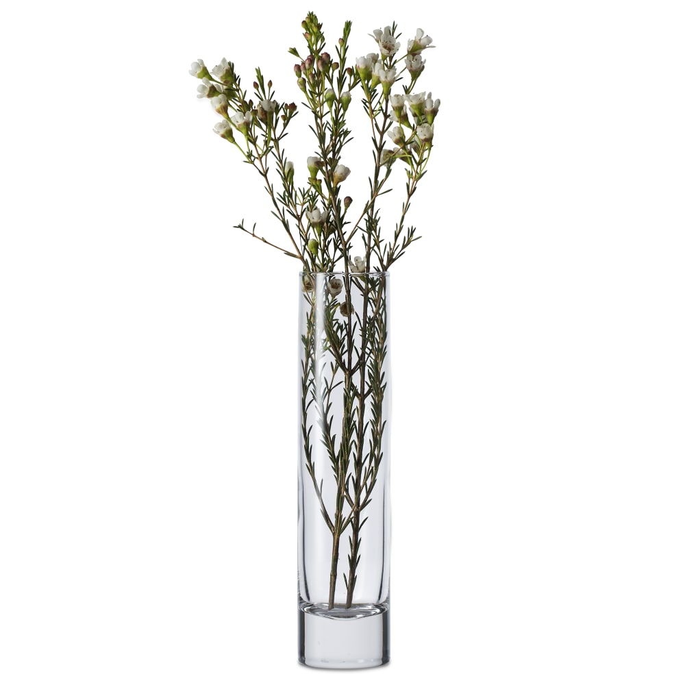 libbey 2824