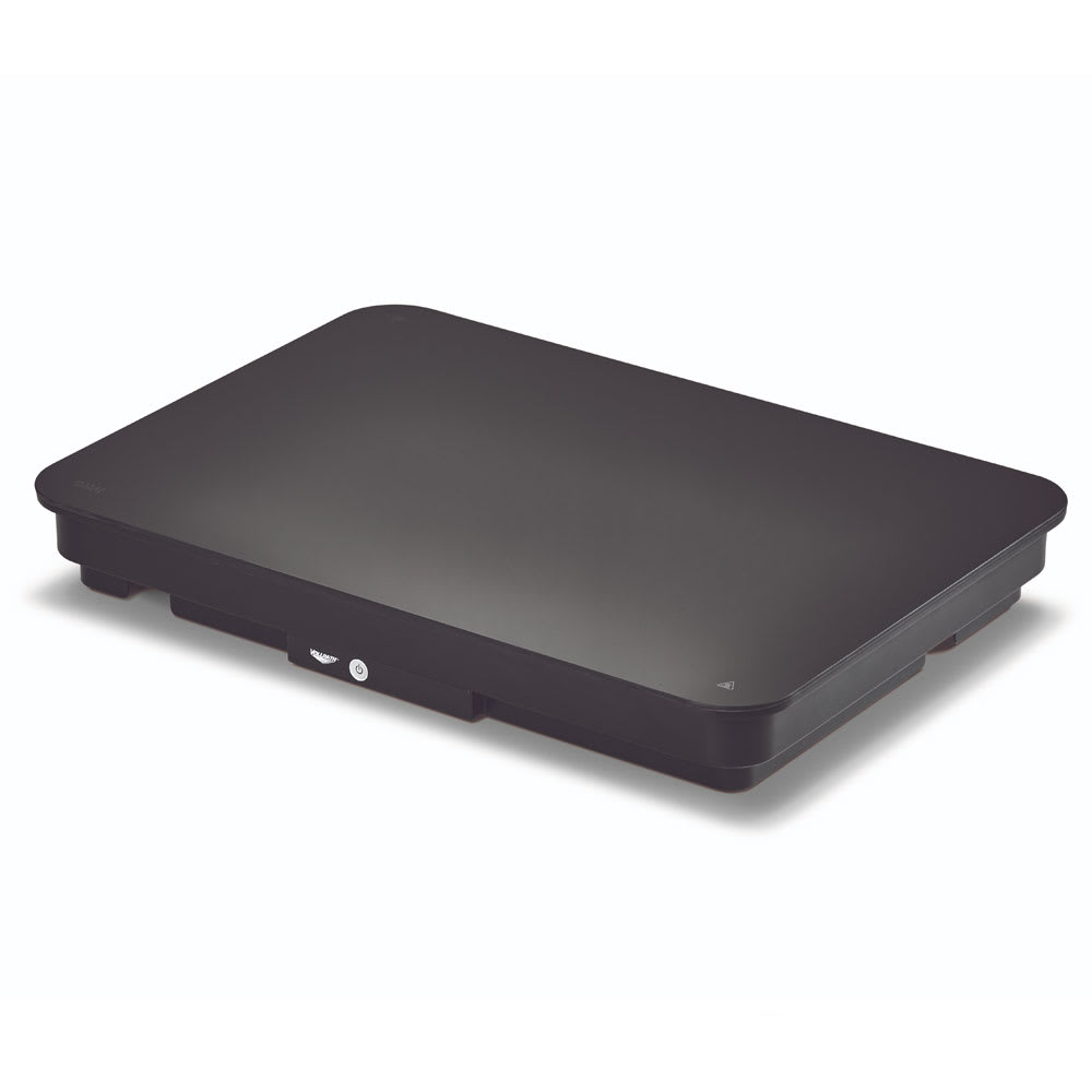 175-5950875 Countertop Commercial Induction Cooktop w/ (1) Burner, 120v