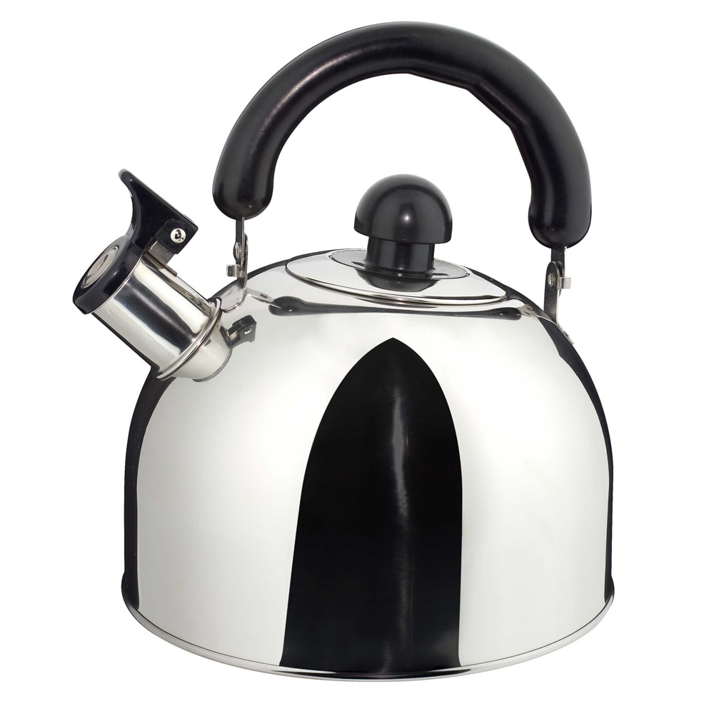 Stainless Steel Stovetop Tea Kettle with Handle, Induction