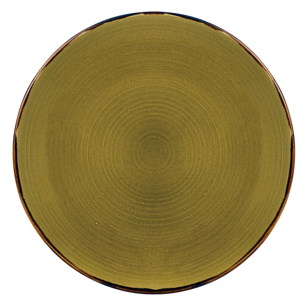 245-HG260 10 1/4" Round Harvest Plate - Ceramic, Green